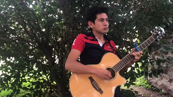 Faded (fingerstyle)  Alan Walker  Por Efren Aldana