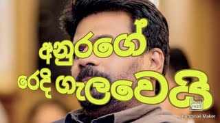 NPP එකේ ආර්ථික ප්‍රතිපත්තිය හරිම ප්‍රාථමික දුප්පත් මෝඩ චූන් එකක්! NPP economic policy is stupid!