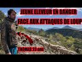 La pression du loup face aux jeunes eleveurs  tmoignages thomas 23ans leveur ovins sebagri