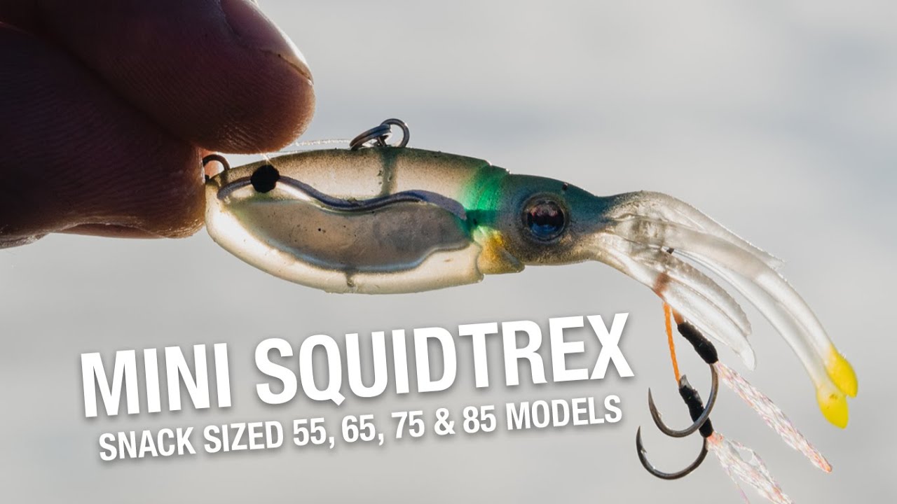 Nomad Design Squidtrex Fishing Lure with Patent Pending Technology  Vibration Design - TPE Soft Plastic, BKK Assist Hooks, Squid Lure