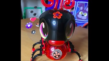 Build a Bot  Ladybird Robot Bug | Robotics