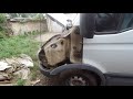 Реанимация части Iveco