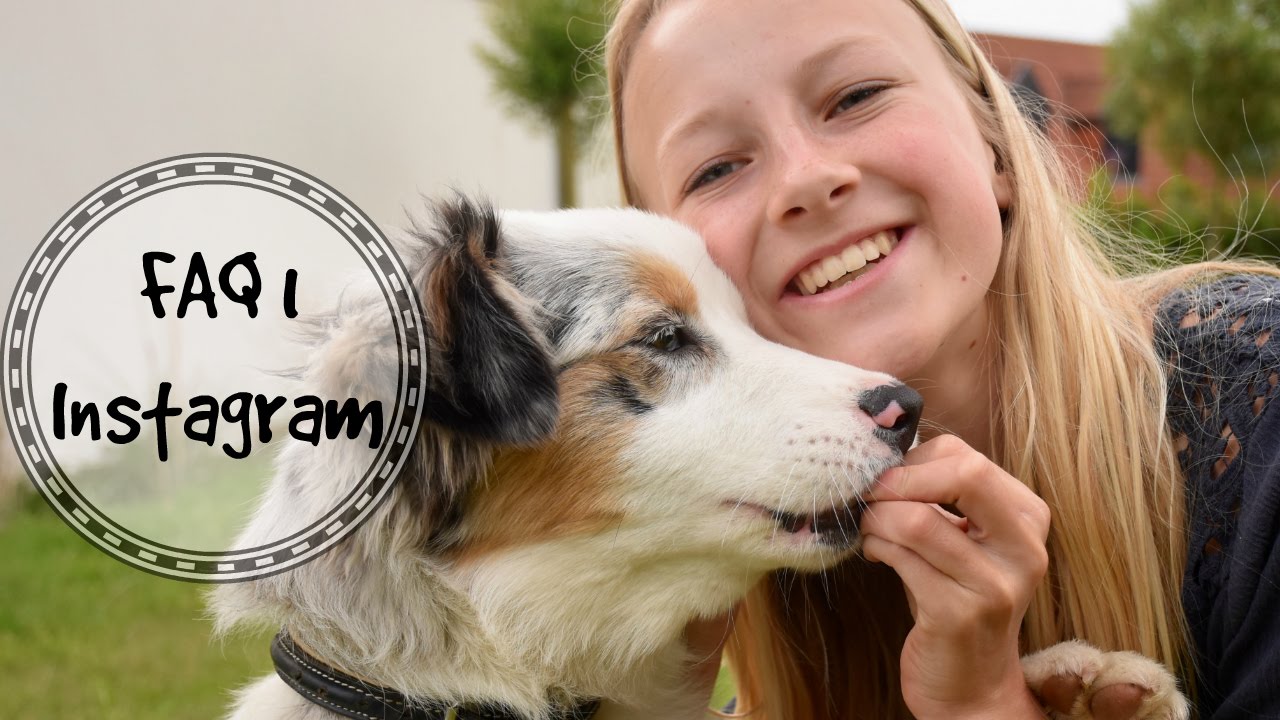 Faq 1 Instagram Youtube