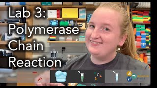 The Wolbachia Project Lab 3: Polymerase Chain Reaction (PCR)