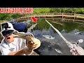 MARINA fishing for WHATEVER bites (Spotted Gar)