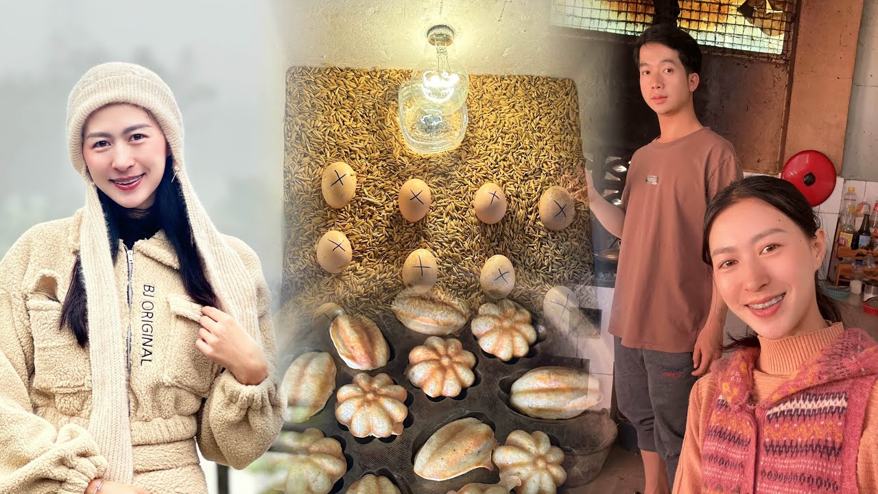 ไข่ไก่ลูกเขยดูแลดีจัง🥰แต่มีแอบหายไปหนึ่งวัน