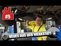 Die Autodoktoren - Neues aus der Werkstatt #5 - Bremsflüssigkeit / VW T5 / Skoda Roomster