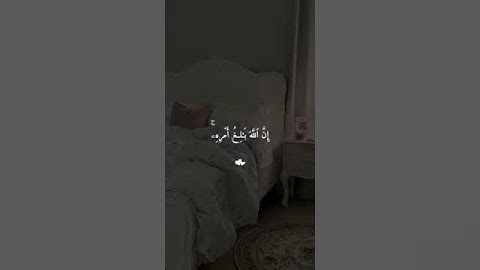 #قرآن #ماهر_المعيقلي #قران_كريم #ارح_سمعك #اكتب_شي_تؤجر_عليه #ارح_قلبك #تلاوة_خاشعة #تلاوة_هادئة