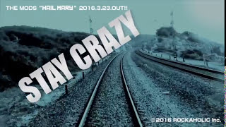 THE MODS「STAY CRAZY」 chords