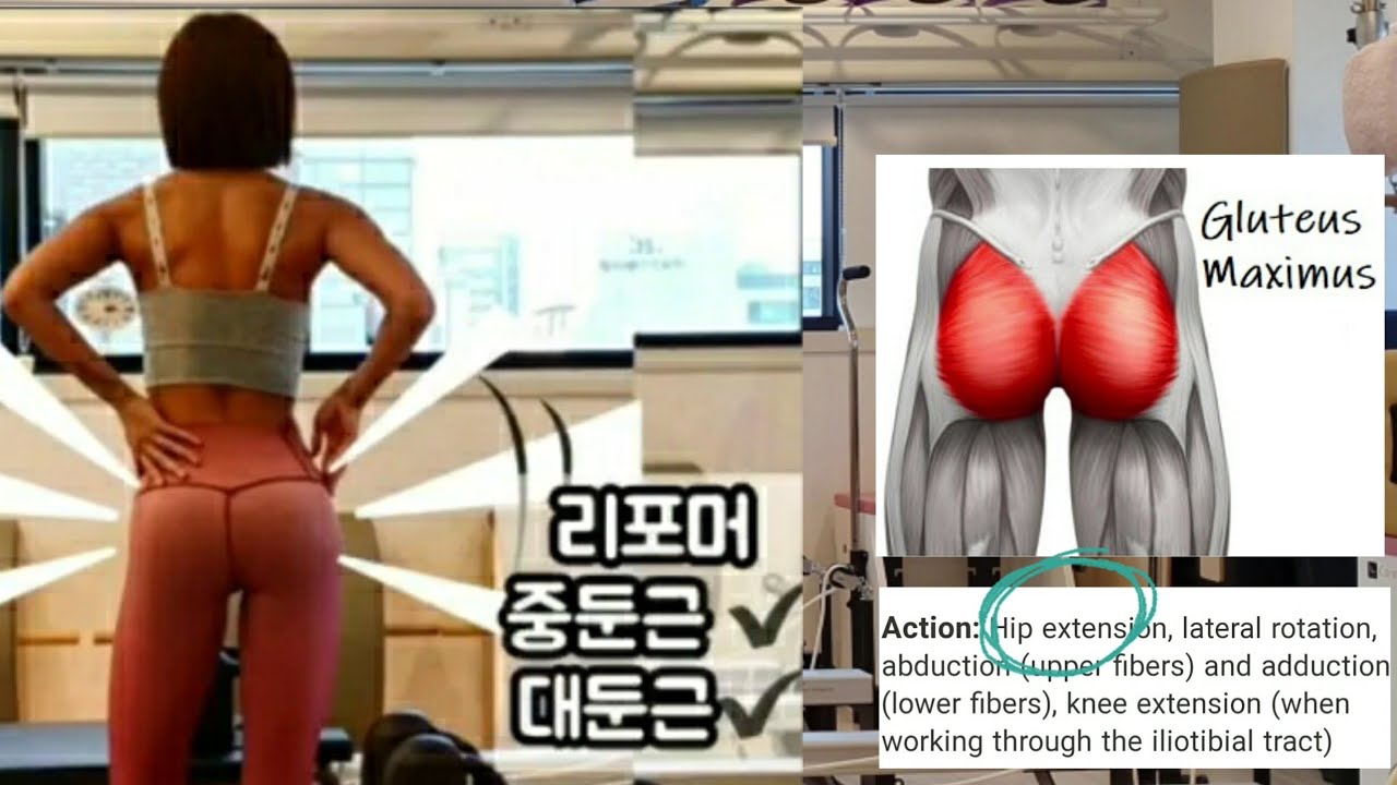 Reformer Butt Pilates 대둔근 완전 정복 리포머 필라테스