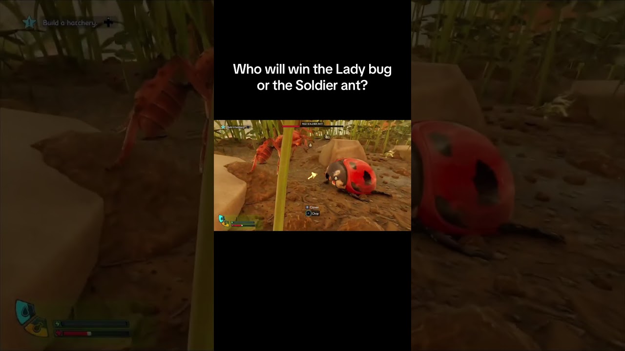 Watch the full video at YouTube/jonndub 