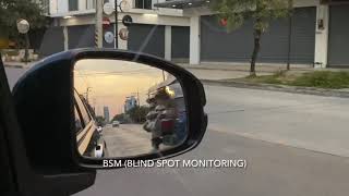 How BSM work