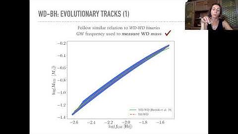 Exotic galactic binaries: gravitational waves from accreting white dwarf-black hole binaries