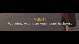 Warning, Agent on your team is down.