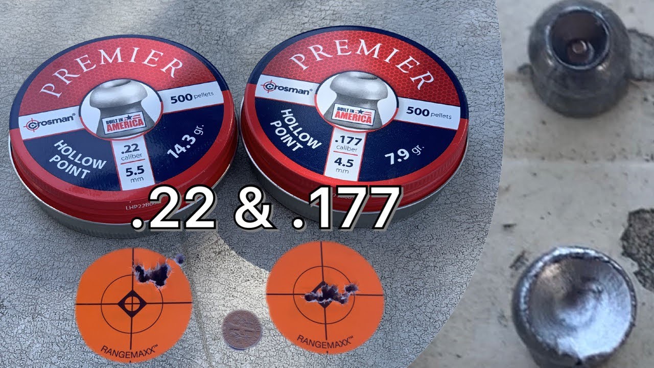 The Best Airgun Pellets For The Money! (Crosman Premier Hollow Points)