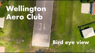 Wellington Aero Club living