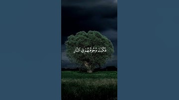 تلاوة من سورة النمل للشيخ عبدالمحسن القاسم #foryou #راحة_نفسية #المصحف #اكسبلور