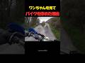 ワンちゃんを見てバイクを停めた理由