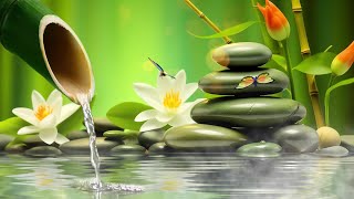 Relaxing Sleep Music + Insomnia 🌿 Stress Relief, Relax, Sleep, Spa & Bamboo Fountain, Water Sounds by Peaceful Moments 9,586 views 3 weeks ago 3 hours, 1 minute