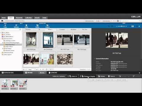 YouTube video