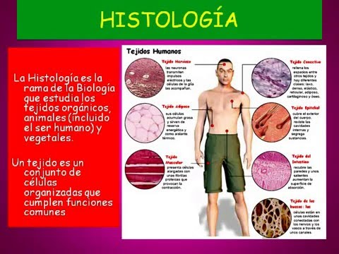 CITOLOGÍA E HISTOLOGÍA.mp4