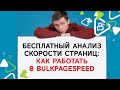 Бесплатный анализ скорости страниц: как работать в Bulk PageSpeed?