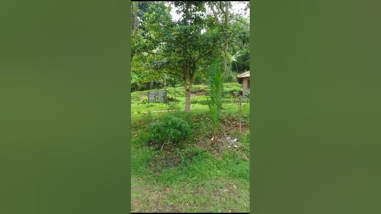 eksplore-umbul-di-desa-sekitar-ungaran-bermain-youtube