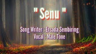 Video thumbnail of "Karaoke Lagu Karo - Senu"