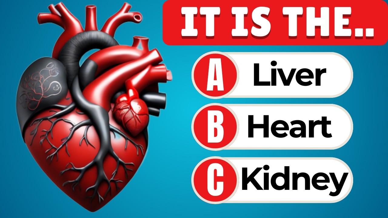 Human Body Quiz That's Harder Than You Think | General Knowledge Test 🧠 ...