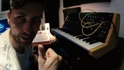 Custom Made Wood Sides for Korg MS20 Mini & Demo of Sounds!!