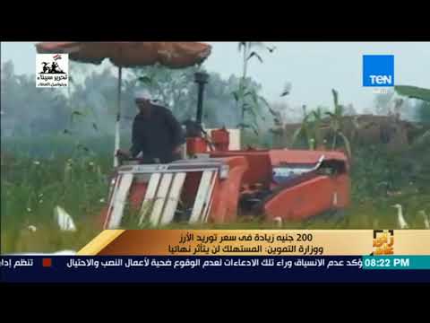 رأي عام 200 جنيه زيادة في سعر توريد الأرز ووزارة التموين المستهلك لن يتأثر نهائيا