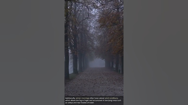 Why does fog frequently appear during winter mornings?