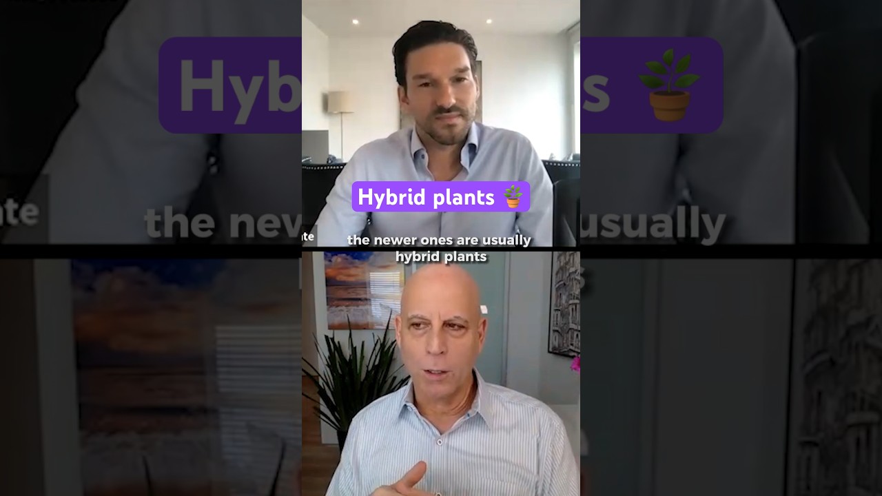 The newer companies are usually hybrid plants 🪴 