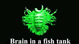 Shpongle - Brain in a fish tank