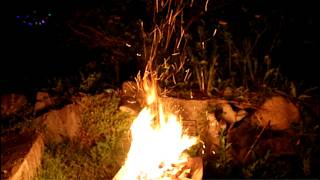 Relaxing Frog Sounds with Bonfire | Cozy Backyard Fire Ambience (Soft Focus)