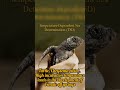 “Temperature: The Hidden Master of Sex Determination in Reptiles”#viral #trending #biology #new