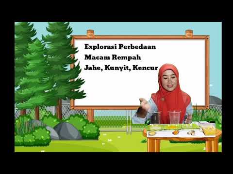 Perbedaan Kencur Jahe Dan Kunyit