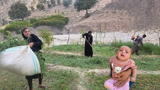 Download Lagu Bringing straw by car: Haider and her family's adventure in the village MP3 Download Lagu Bringing straw by car: Haider and her family's adventure in the village MP3
