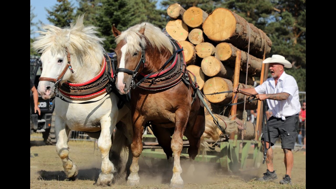 Нова Махала с 16-ти турнир с тежковозни коне и с домакинството на Сунай Караасан