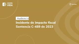 Interveción del Ministro en la Audiencia incidente de impacto fiscal