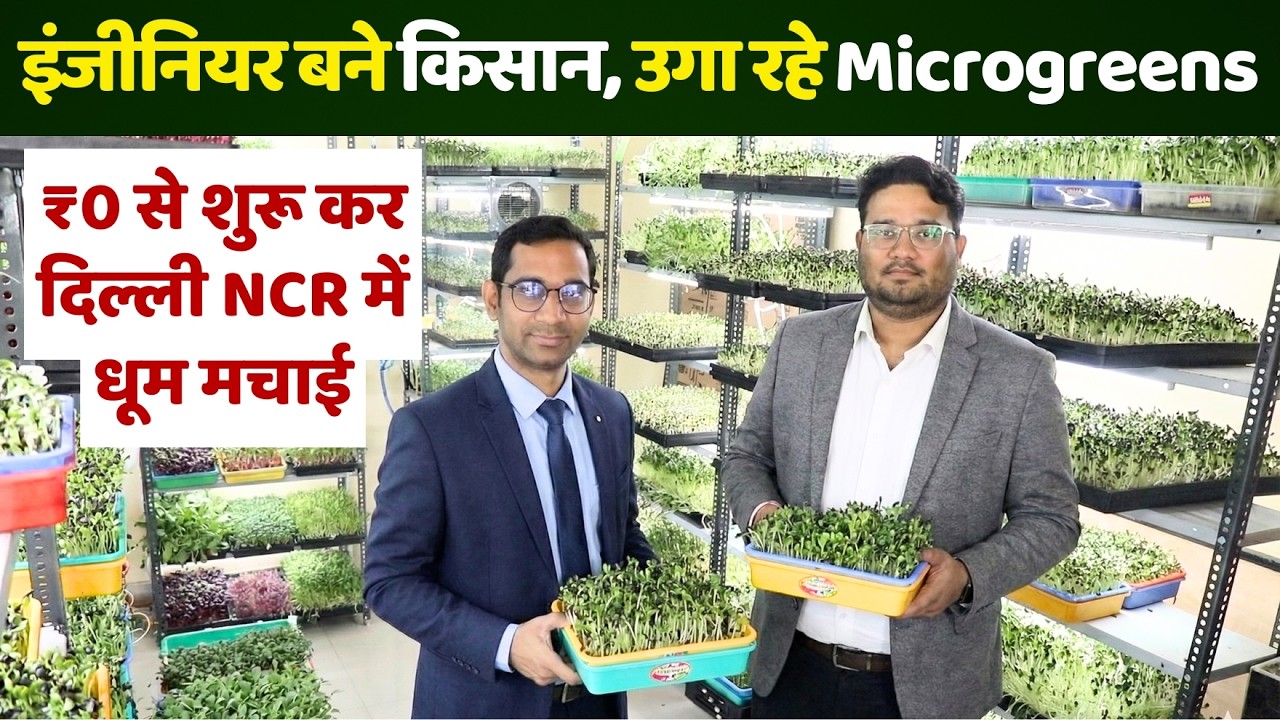 3 इंजीनियर्स, कमरे में उगा रहे हैं Microgreens 😍 Business Idea ने बदली किस्मत