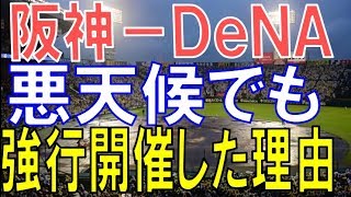 阪神-DeNA、悪天候でも強行開催した理由とは 新井恵理那 検索動画27 阪神-DeNA、悪天候でも強行開催した理由とは 新井恵理那 検索動画 27