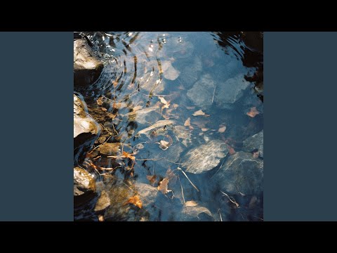 Tonton Trusting (Forest) di YouTube Tonton Trusting (Forest) di YouTube