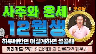 용한무당이 알려주는♦️12월생 사주와 운세보기♦️하루에 한번 이렇게 말하면 성공해 / 개운법 /심리카드 로 …