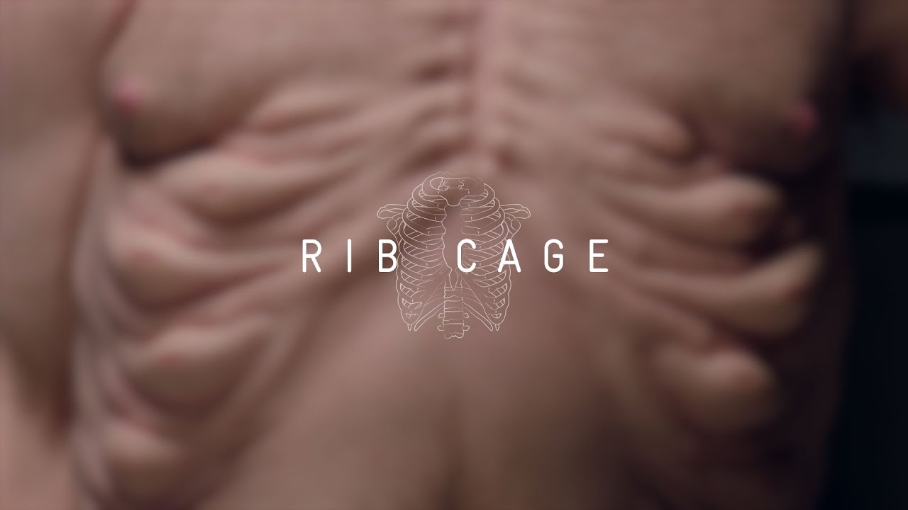 TAC Interactive Sculpture Graham Ribcage Meet Graham, TAC 2016 YouTube