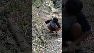 Download Mp3 mencari bambu petung untuk membuat layangan ram raman #fypshorts #layangan Gudang lagu Download Mp3 mencari bambu petung untuk membuat layangan ram raman #fypshorts #layangan