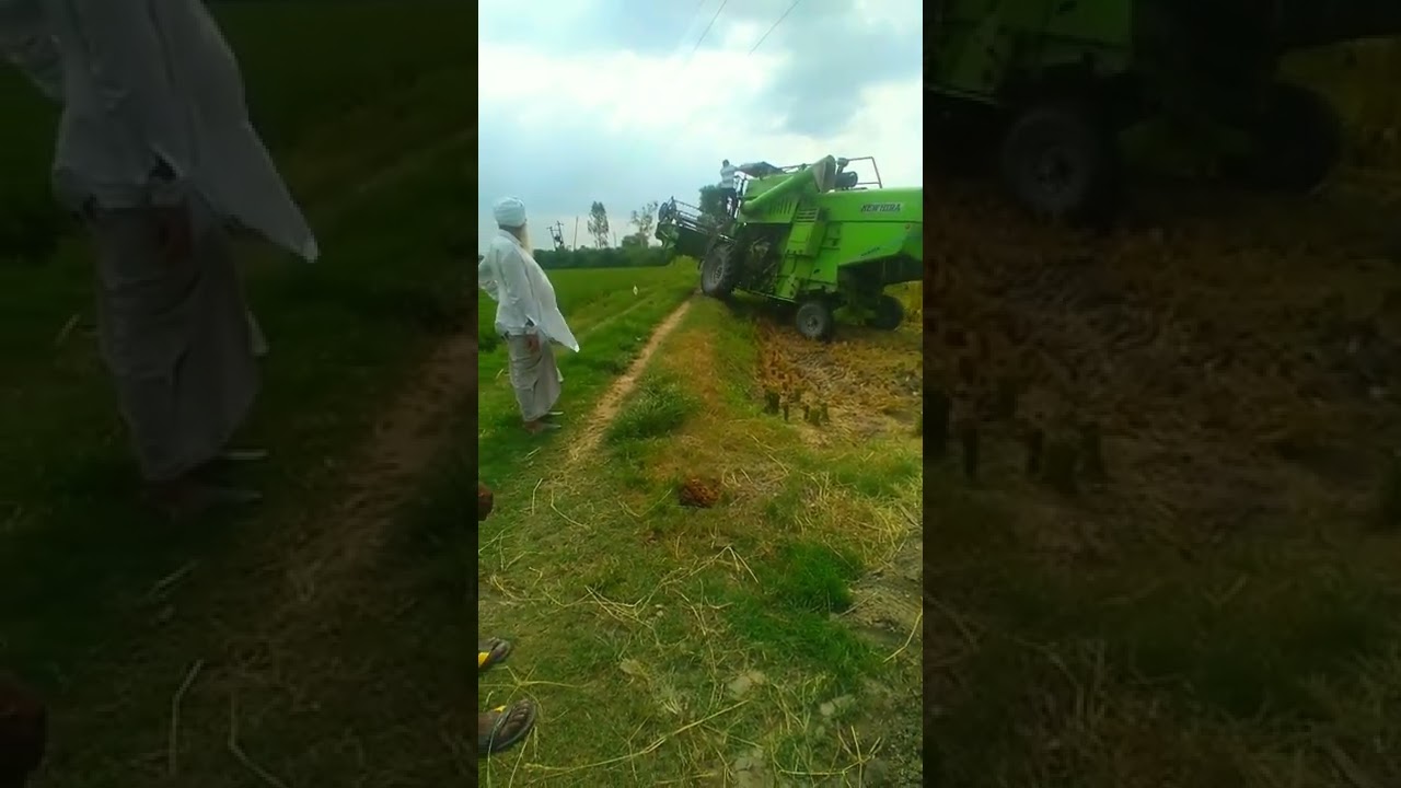 Combine Going To up In Ramp harvest harvesting combine khetibadi 