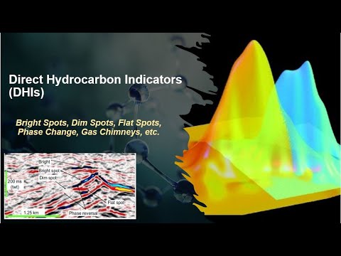 Direct Hydrocarbon Indicators: Bright spots, Dim spots, Flat spots, Phase reversal, Gas chimneys