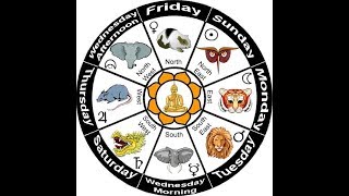 The Chinese zodiac explained ShaoLan