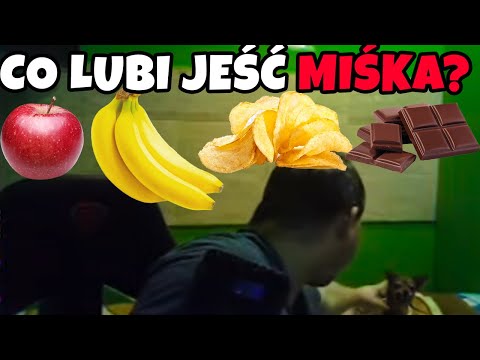 Video: Čo je to miska?